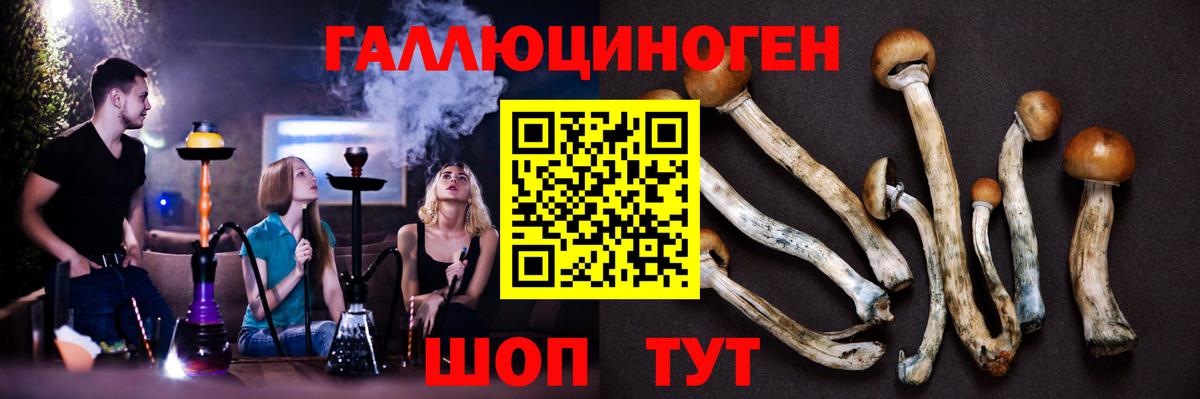 Галлюциногенные грибы Cubensis Тара