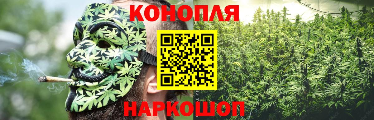 Конопля тримм  Вход с VPN  Конопля гибрид  Бошки марихуана сатива  Тара 